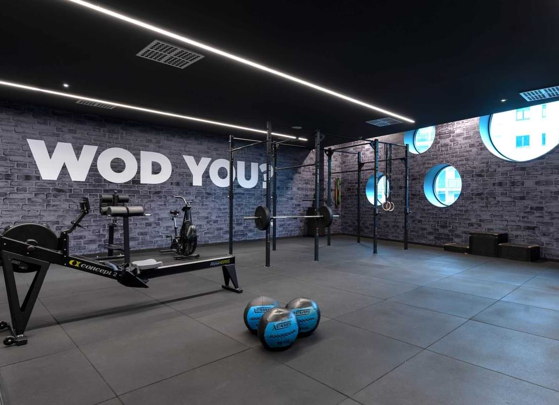 Studio<br>Cross Active