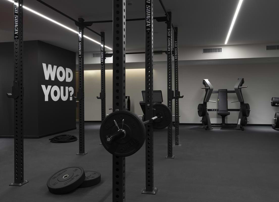 Area<br>Cross Active