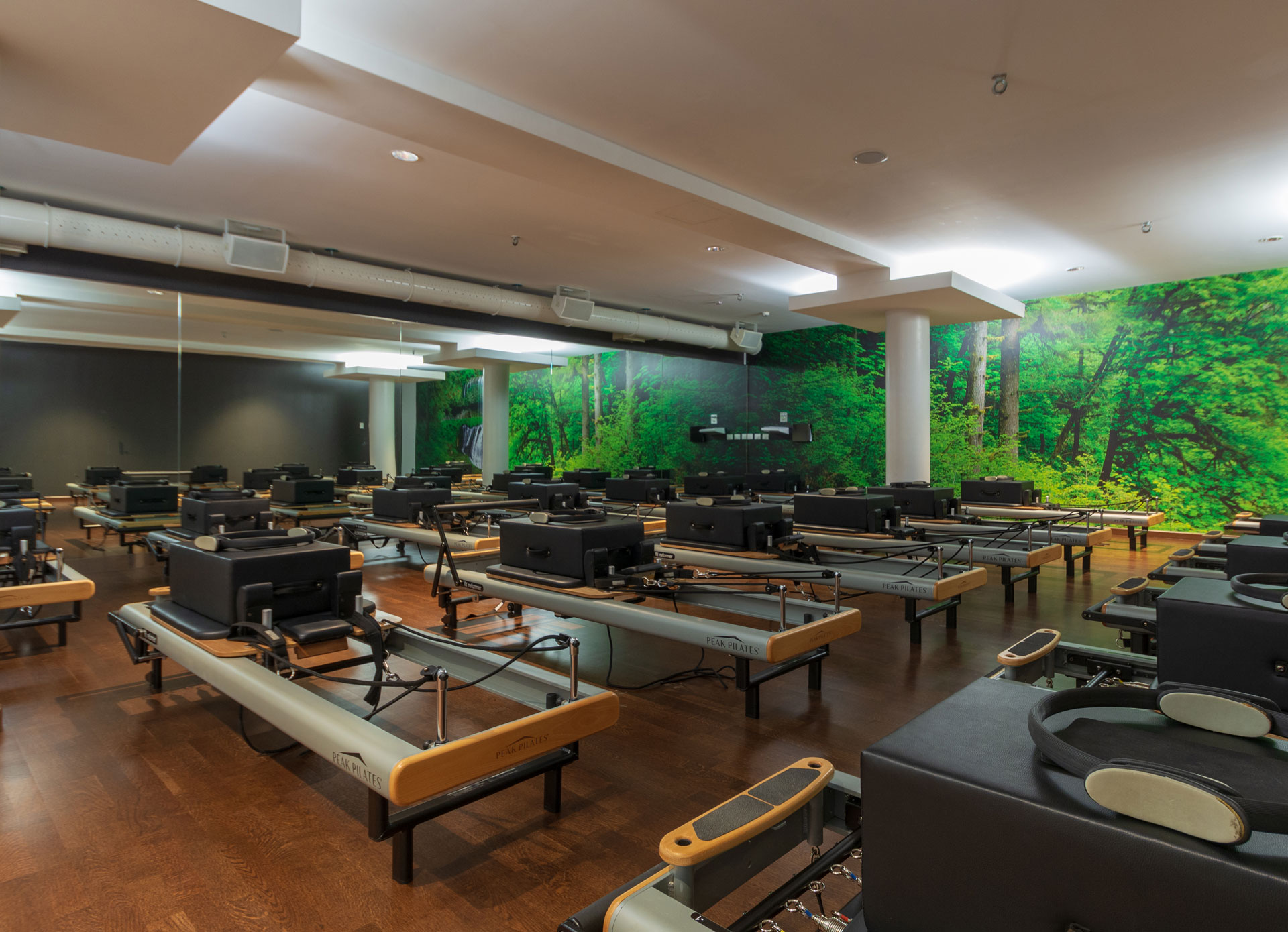 Studio<br>Reformer Pilates